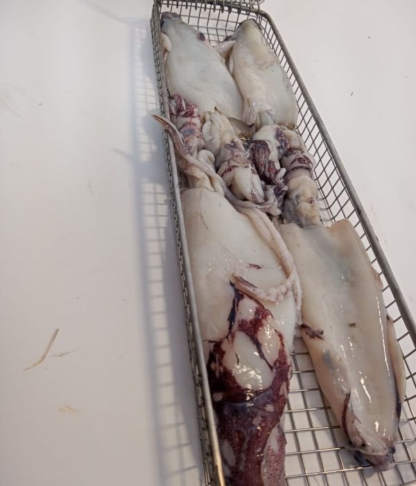 IMG-20250610-WA0004